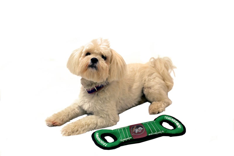 Pets First NCAA Football Field Dog Toy with Squeaker. - Florida State Seminoles - for Tug, Toss, and Fetch. - Tough& Durable PET Toy - Image 4